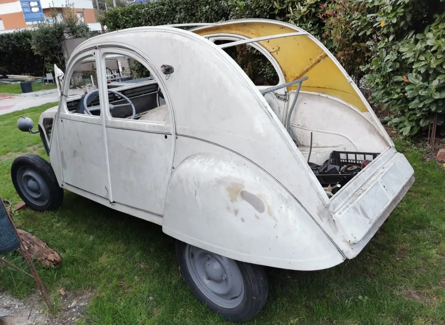 Citroen 2CV Bianco - 2