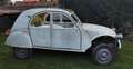 Citroen 2CV Wit - thumbnail 1