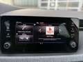 Skoda Scala 1.5 TSI TOUR BLACK *MATRIX *RKAM *CARPLAY *DAB *1 Weiß - thumbnail 12