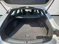 CUPRA Leon Sportstourer 1.5 eTSI DSG VisonPlus / Kessy Weiß - thumbnail 15