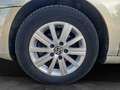 Volkswagen Golf 1.6TDI CR Advance 105 Gris - thumbnail 25