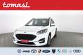 Ford Kuga 2.0 EcoBlue Hybrid 150CV 2WD ST-Line Bianco - thumbnail 1
