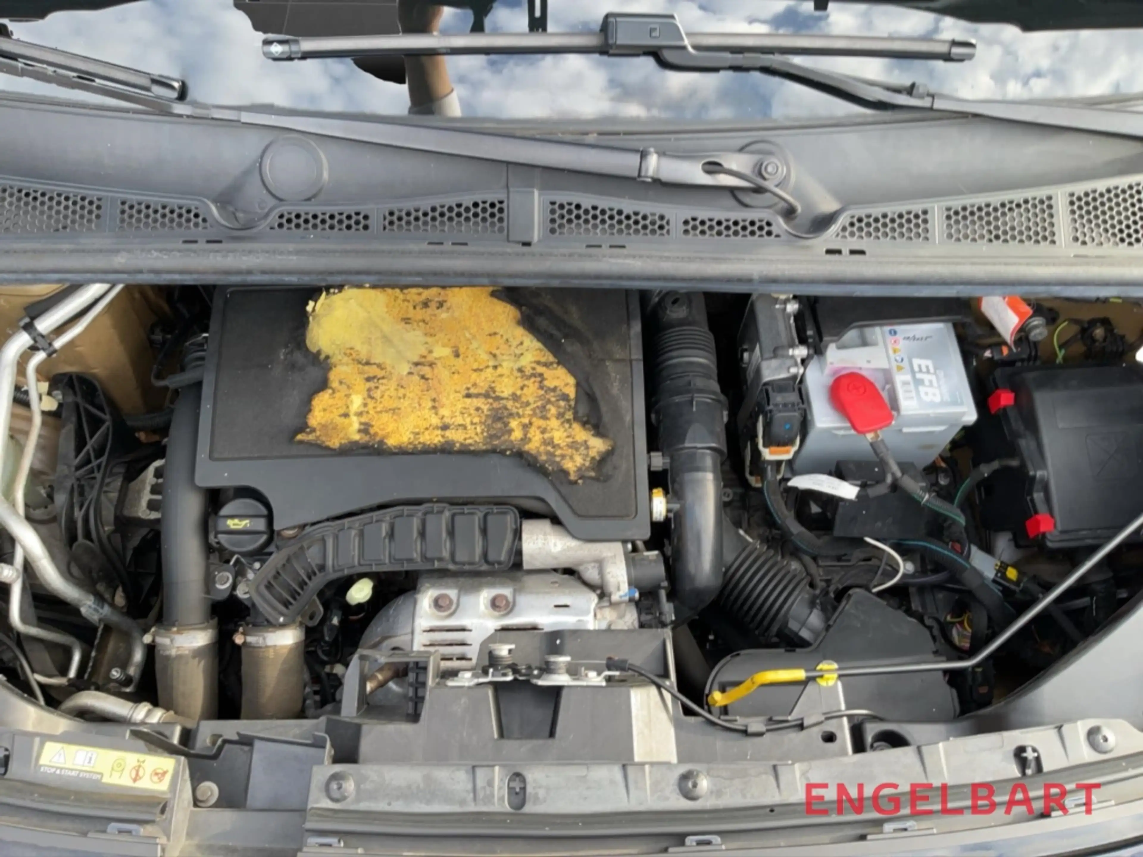 Peugeot Rifter Active L1 Dyn. Kurvenlicht Apple CarPlay Android A — photo 14
