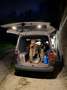 Volkswagen T6 Transporter Kurz Weiß - thumbnail 12