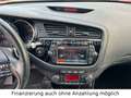 Kia Ceed / cee'd Spirit Automatik & Navi & Kamera Rot - thumbnail 22