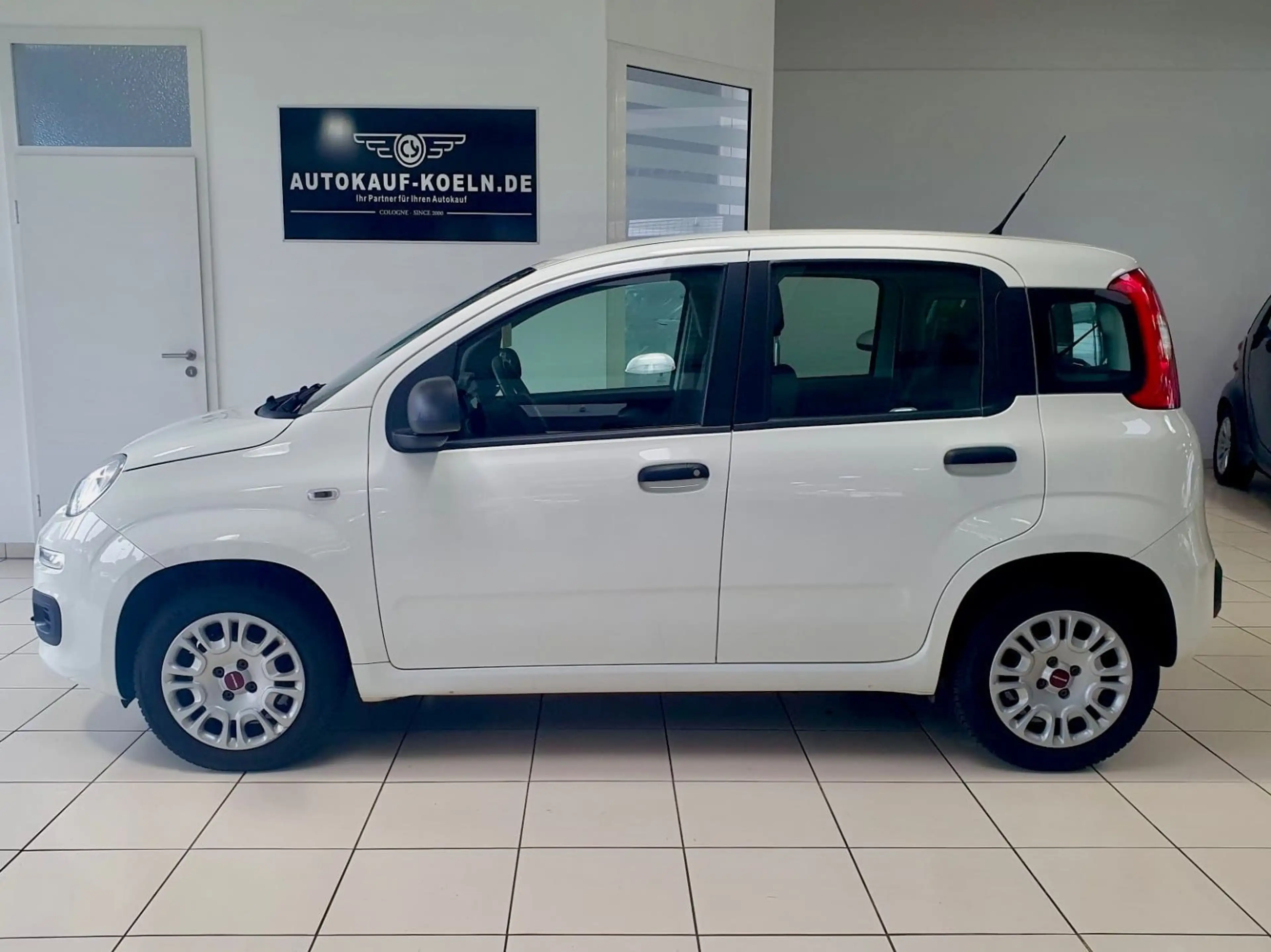 Fiat Panda 1,2 Easy Klima/Euro6 — photo 2