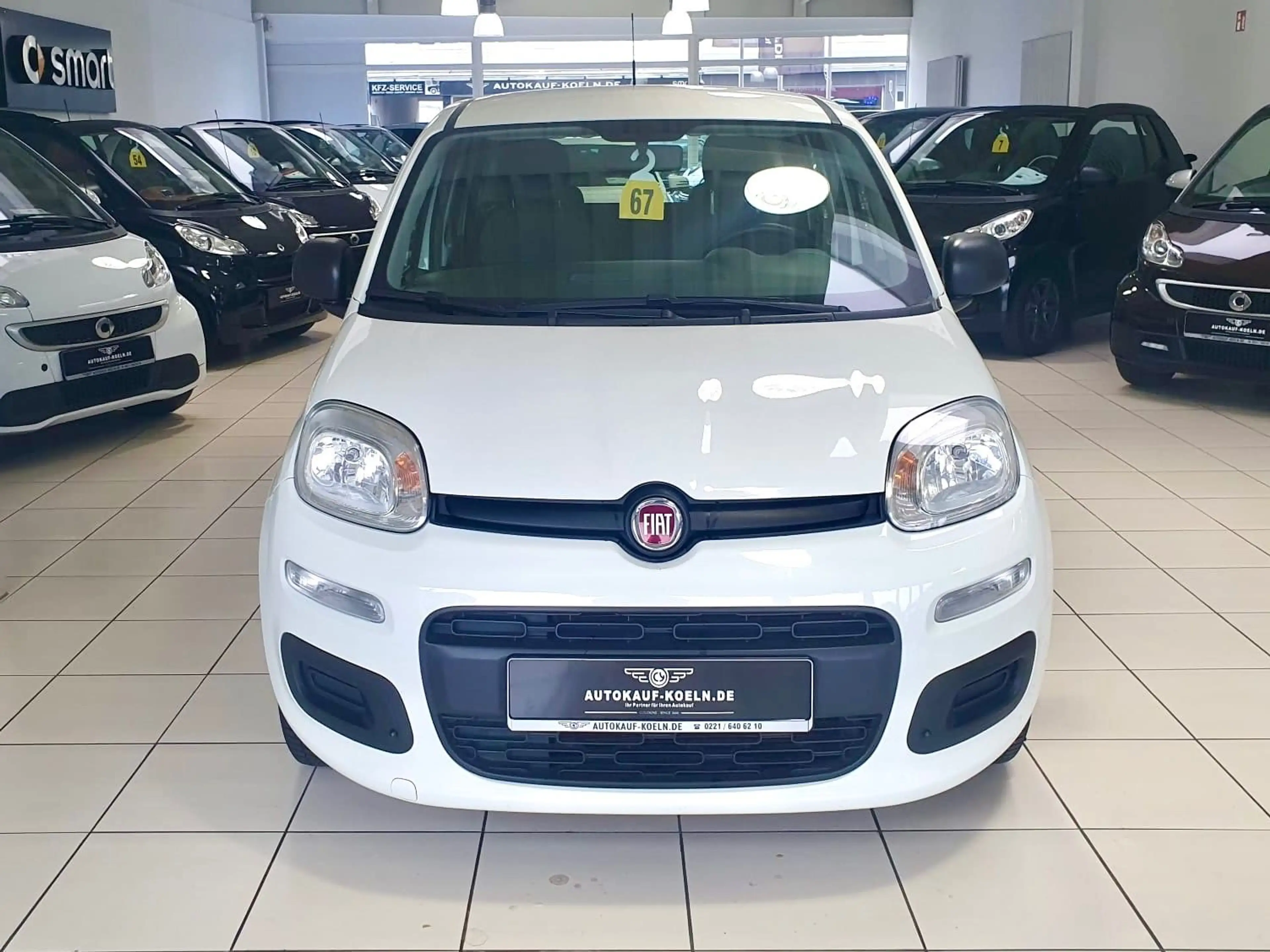 Fiat Panda 1,2 Easy Klima/Euro6 — photo 6