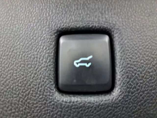 Ford Kuga view 8