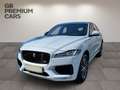Jaguar F-Pace 30d AWD S Aut. Weiß - thumbnail 1