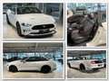 Ford Mustang GT CABRIO UNFALLFREI*PERFORMANCE*ACC*19" Blanc - thumbnail 1