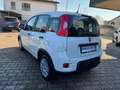 Fiat Panda 1.0 FireFly S&S Hybrid Pandina #Pack.City #5posti Bianco - thumbnail 4