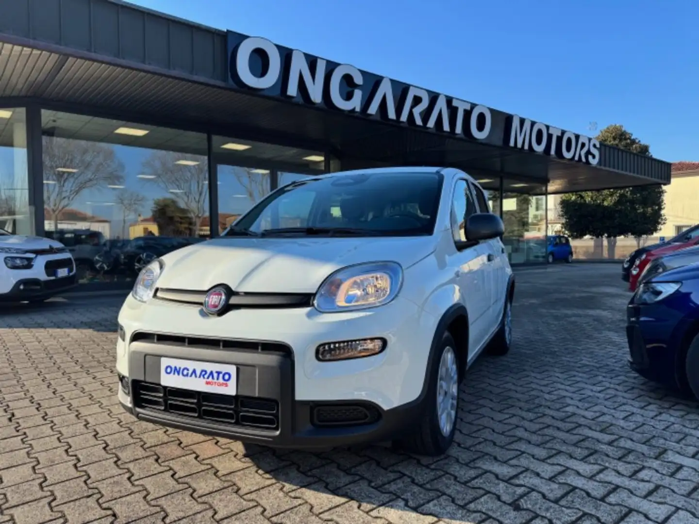 Fiat Panda 1.0 FireFly S&S Hybrid Pandina #Pack.City #5posti Bianco - 1