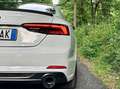Audi A5 A5 Coupe 40 2.0 tfsi GPL mhev Sline s-tronic Bianco - thumbnail 8