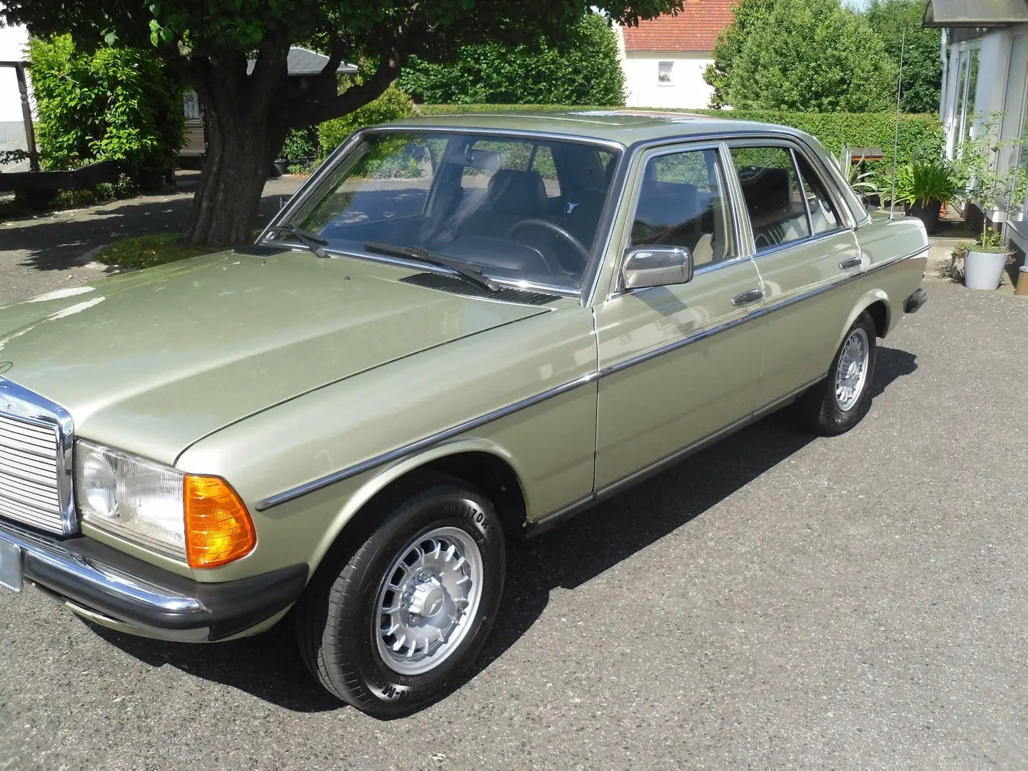 Mercedes-Benz 230 Baureihe 123 E Vert - 1