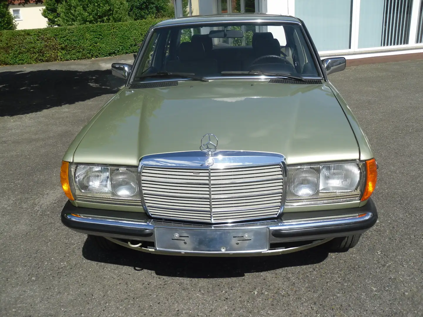 Mercedes-Benz 230 Baureihe 123 E Vert - 2