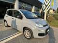 Fiat Panda Panda 1.0 FireFly S&S Hybrid Grigio - thumbnail 3