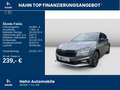 Skoda Fabia Monte Carlo 1,0 TSI DSG 17" Licht+Sicht Grau - thumbnail 2