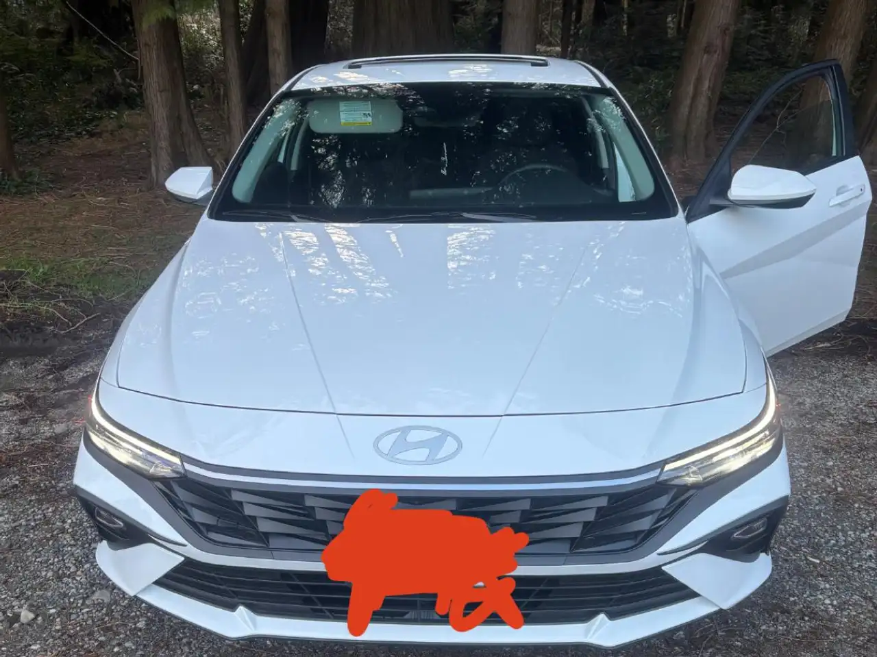 Hyundai ELANTRA снимка Hyundai ELANTRA