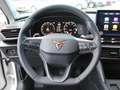 CUPRA Formentor 2.0 TSI DSG 4Drive KLIMA LED NAVI ALU Blanc - thumbnail 11