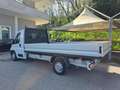 Fiat Ducato MAXI  CASSONE FISSO Blanc - thumbnail 1
