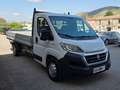 Fiat Ducato MAXI  CASSONE FISSO Blanc - thumbnail 2