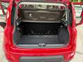 Fiat Panda Panda III 2012 4x4 0.9 t.air turbo 4x4 85cv E6 Rot - thumbnail 16