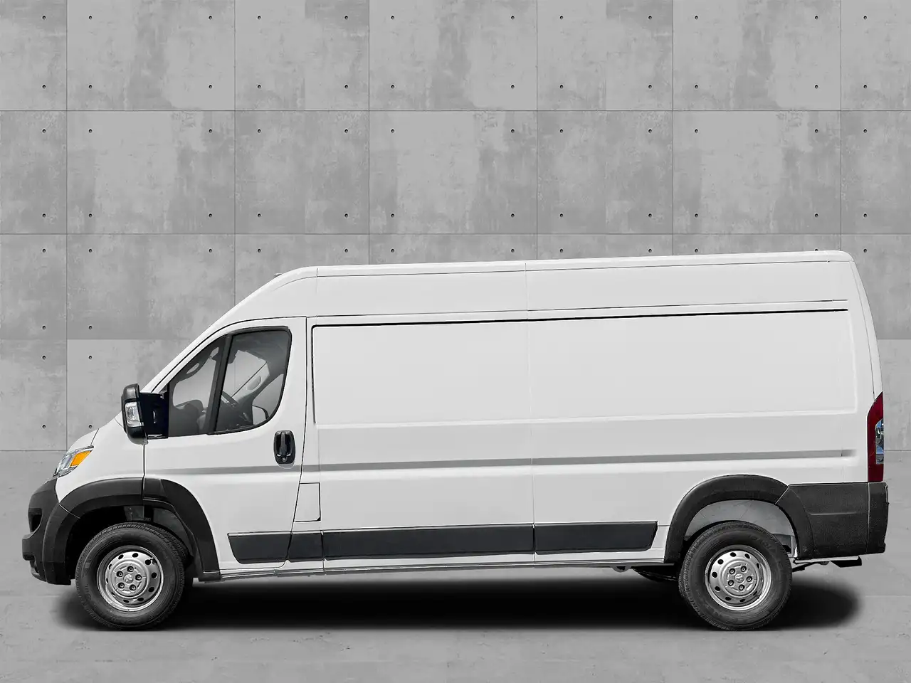 RAM Promaster снимка RAM Promaster