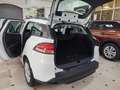 Renault Clio ST 1.5dCi eco2 Authentique 75 White - thumbnail 10