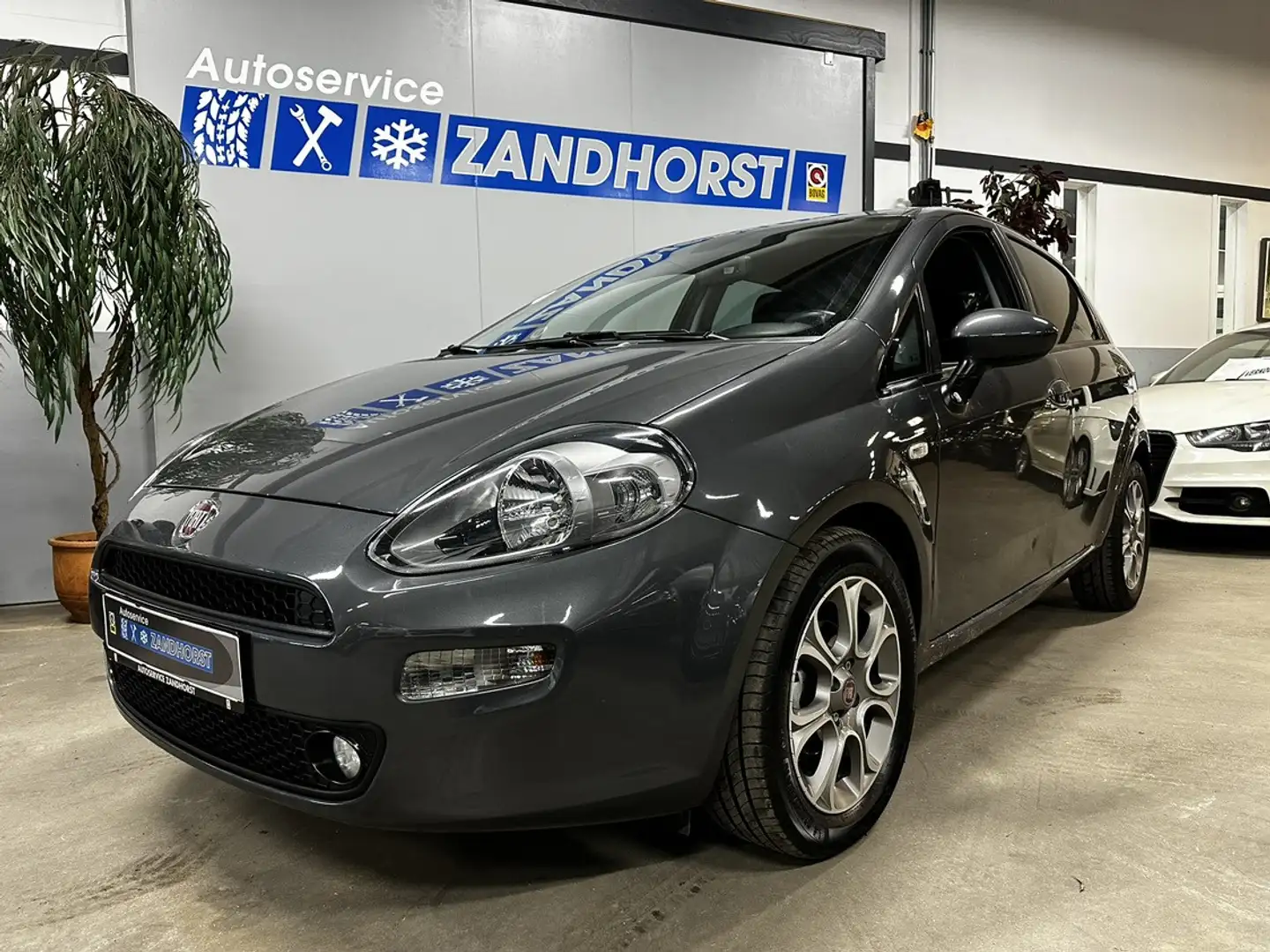 Fiat Punto Evo 0.9 TwinAir Lounge Szary - 1