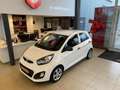 Kia Picanto 1.0 CVVT ComfortLine,100% Onderhouden,5 Deurs,5Zit Blanco - thumbnail 2
