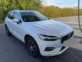 Volvo XC60 Inscription AWD Weiß - thumbnail 3