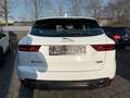 Jaguar E-Pace P200 AWD NAVI SHZ DIGTACHO AMBIENT LED EH Blanc - thumbnail 8