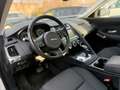 Jaguar E-Pace P200 AWD NAVI SHZ DIGTACHO AMBIENT LED EH Blanc - thumbnail 15