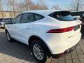 Jaguar E-Pace P200 AWD NAVI SHZ DIGTACHO AMBIENT LED EH Blanc - thumbnail 4