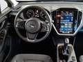 Subaru Crosstrek 2.0i e-Boxer HEV CVT Style Allrad Aut. Grau - thumbnail 14