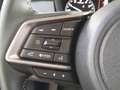 Subaru Crosstrek 2.0i e-Boxer HEV CVT Style Allrad Aut. Grau - thumbnail 18