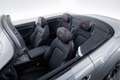 Bentley Continental GTC Black Edition V8 Hybrid MY2025 Gris - thumbnail 29