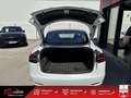 Tesla Model 3 Standard Plus - CAM -  PANO Blanc - thumbnail 14
