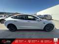 Tesla Model 3 Standard Plus - CAM -  PANO Blanc - thumbnail 8