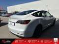 Tesla Model 3 Standard Plus - CAM -  PANO Blanc - thumbnail 13