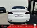 Tesla Model 3 Standard Plus - CAM -  PANO Blanc - thumbnail 12