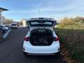 Ford Fiesta Active 1,0 EcoBoost Start/Stop Blanc - thumbnail 6