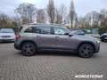 Mercedes-Benz EQB 250 EQB 250 AMG Line LED+KAMERA+SPIEGEL PACKET Klima Grau - thumbnail 2