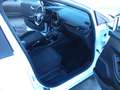 Ford Puma Puma II 2020 1.0 ecoboost h ST-Line s Bianco - thumbnail 12