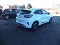 Ford Puma Puma II 2020 1.0 ecoboost h ST-Line s Bianco - thumbnail 5