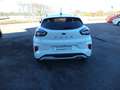 Ford Puma Puma II 2020 1.0 ecoboost h ST-Line s Bianco - thumbnail 7