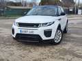 Land Rover Range Rover Todoterreno Automático de 5 Puertas Blanco - thumbnail 9