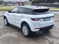 Land Rover Range Rover Todoterreno Automático de 5 Puertas Blanco - thumbnail 7