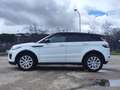 Land Rover Range Rover Todoterreno Automático de 5 Puertas Blanco - thumbnail 1