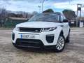 Land Rover Range Rover Todoterreno Automático de 5 Puertas Blanco - thumbnail 6